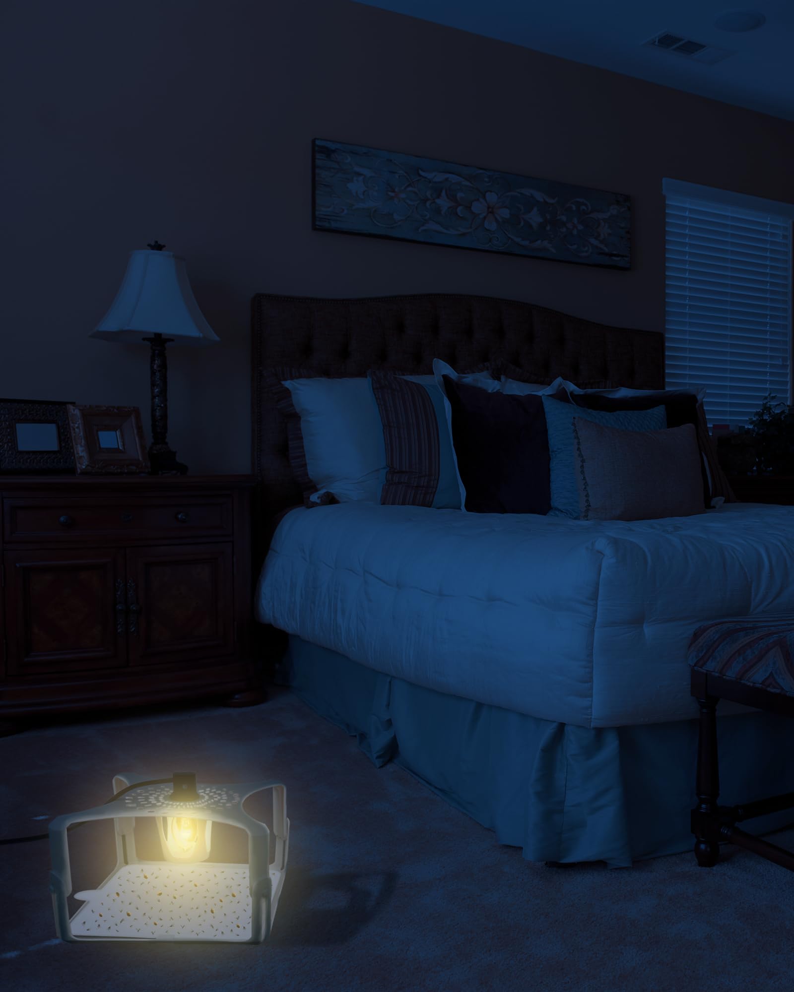 Dichroma non-toxic glue for traps, a family-friendly pest monitoring option.