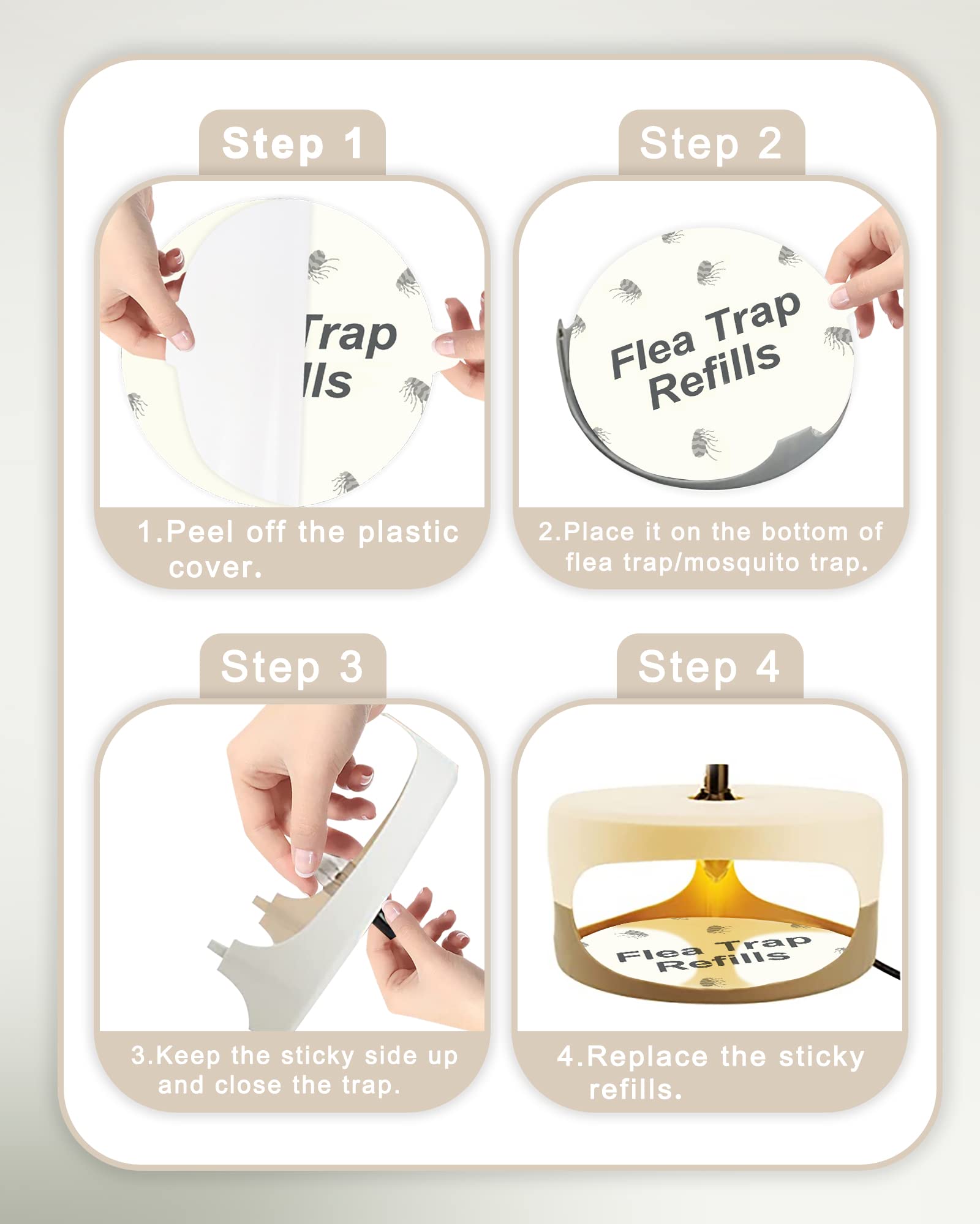 Dichroma non-toxic glue board emphasizes family-safe pest control
