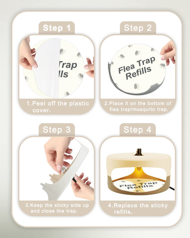 Dichroma non-toxic glue board emphasizes family-safe pest control