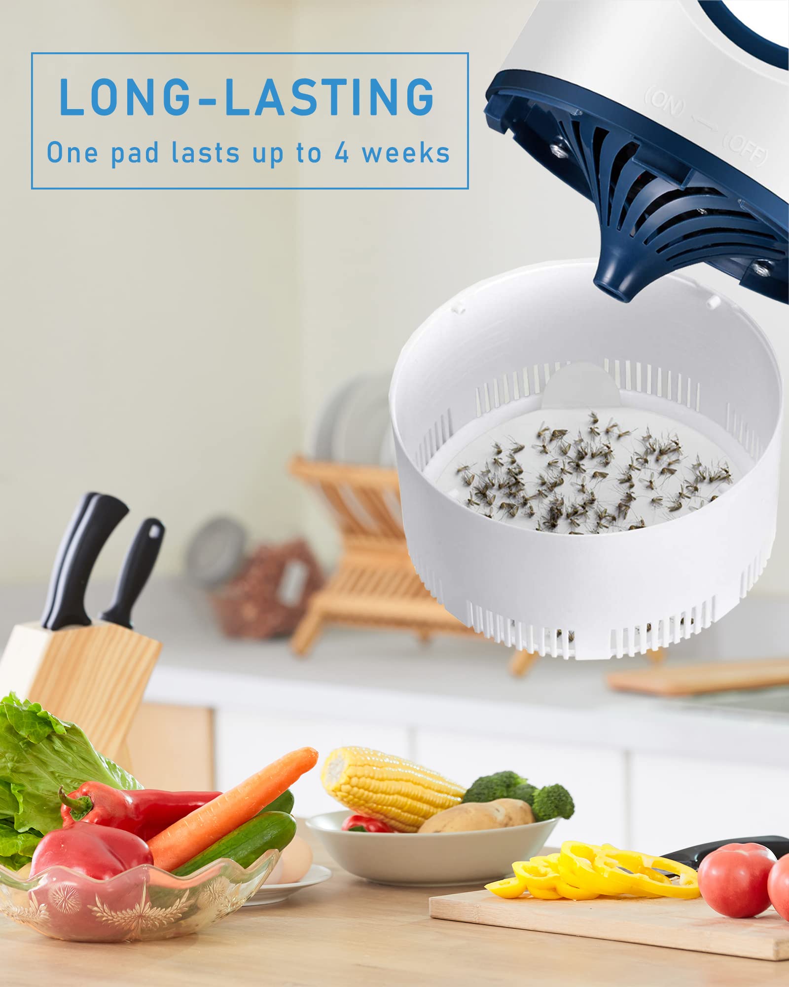 Dichroma glue board features strong adhesive for mosquitoes and gnats in indoor traps.