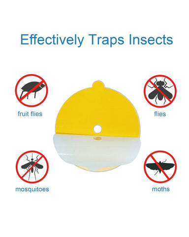Dichroma super sticky refill disc captures fleas and gnats effectively.