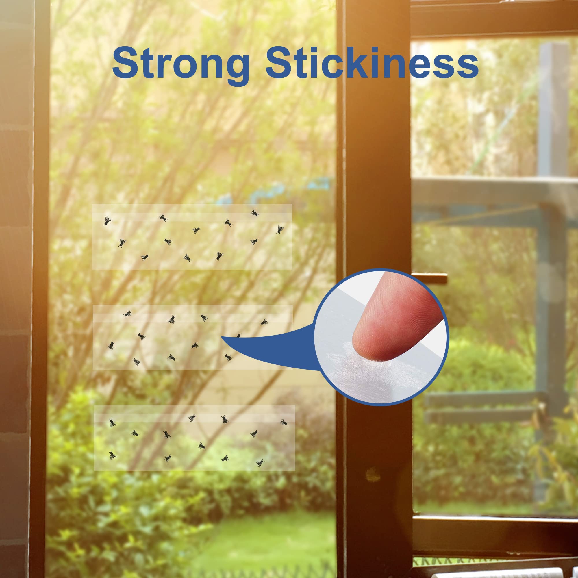 Dichroma transparent trap leaves windows clear with no residue.