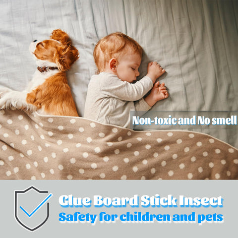 Dickinda indoor fly trap glue card refill for clean spaces