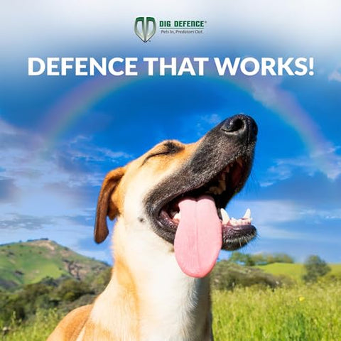 Dig Defence Original Barrier Fence offers maintenance-free protection for pets and yard.