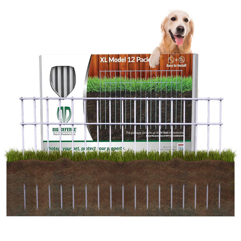 Dig Defence Original Barrier Fence yard installation demonstrates effortless no-dig setup.
