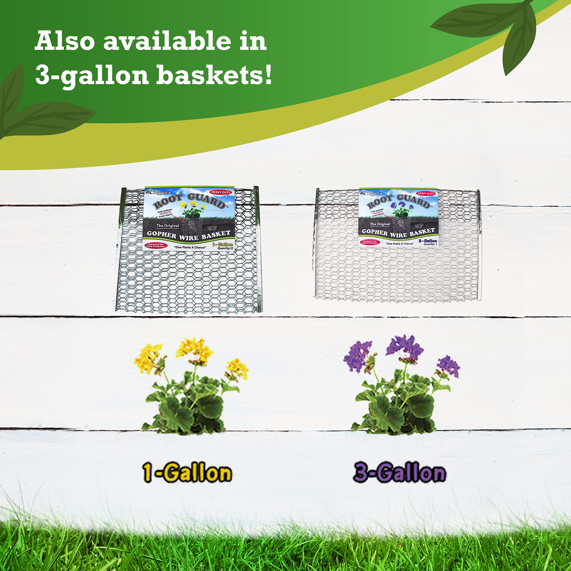 Includes 12 baskets per order for larger planting projects.