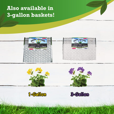 Includes 12 baskets per order for larger planting projects.