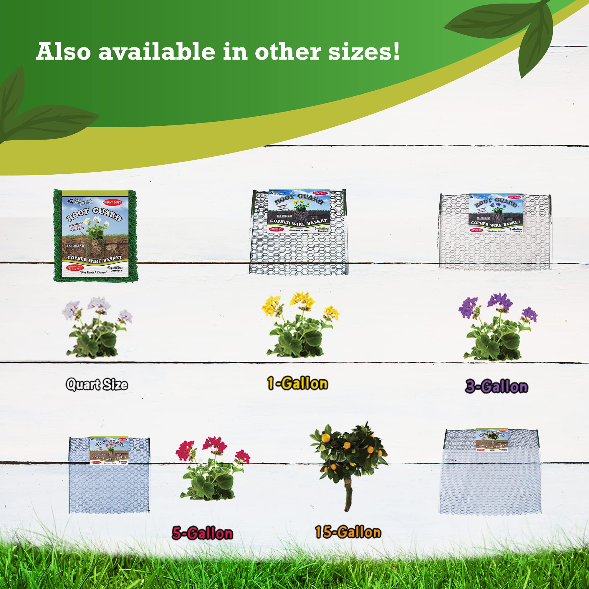 Rust-resistant steel mesh guards roots against gophers and burrowing pests.