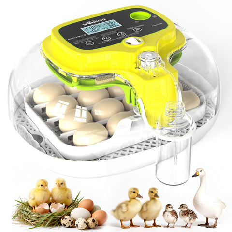 DIGOAKO incubator with 16-egg tray supports poultry eggs in home settings.