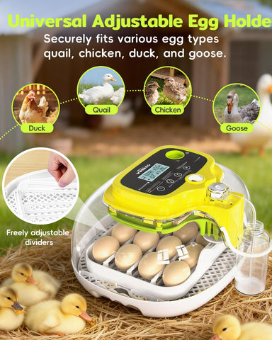 DIGOAKO incubator with durable ABS and quiet operation for classroom use.