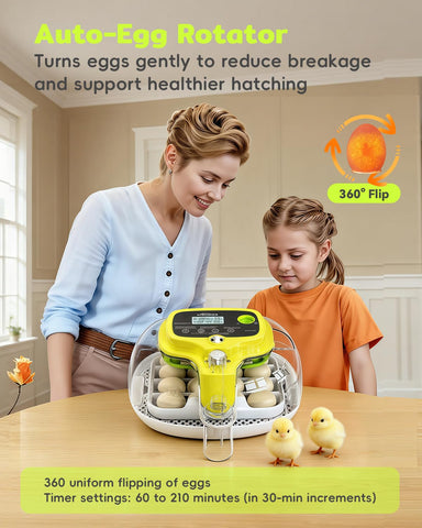 DIGOAKO incubator auto water refill maintains stable humidity during incubation.