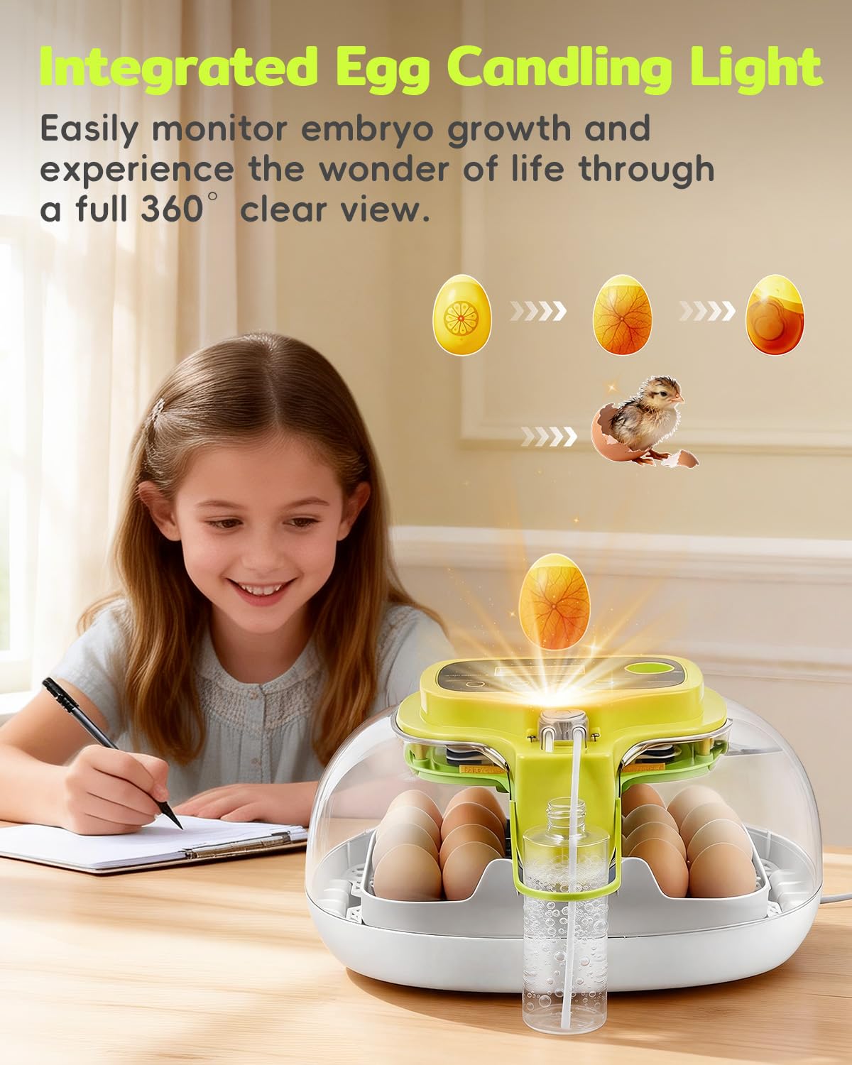 DIGOAKO incubator suitable for labs, classrooms, and home hatch projects.