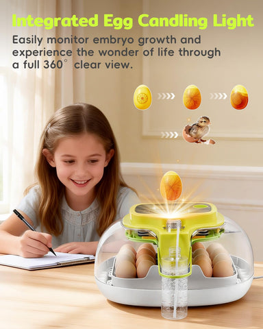 DIGOAKO incubator suitable for labs, classrooms, and home hatch projects.