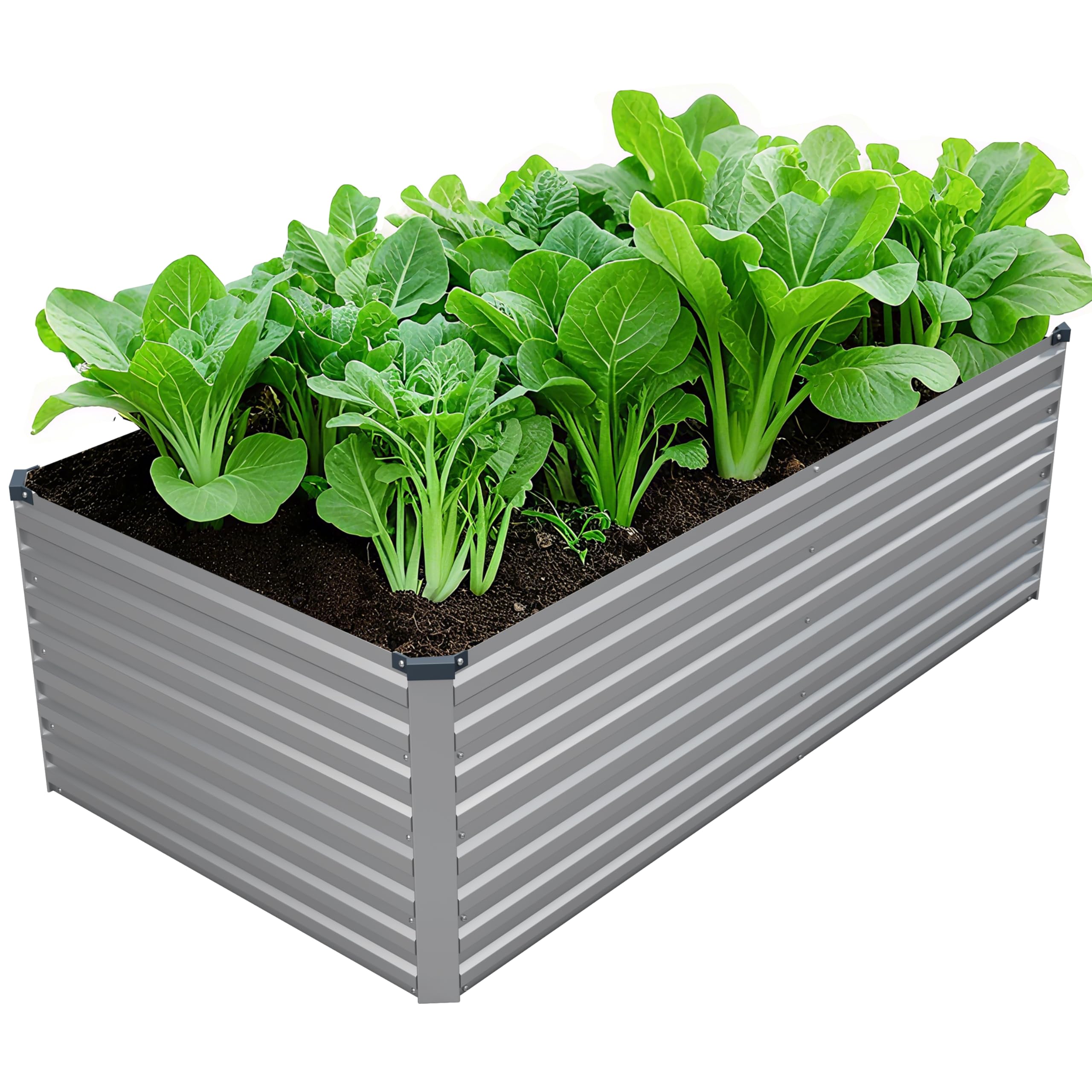 DIIYIV galvanized raised garden bed 72x36 inches for outdoor vegetable growing.