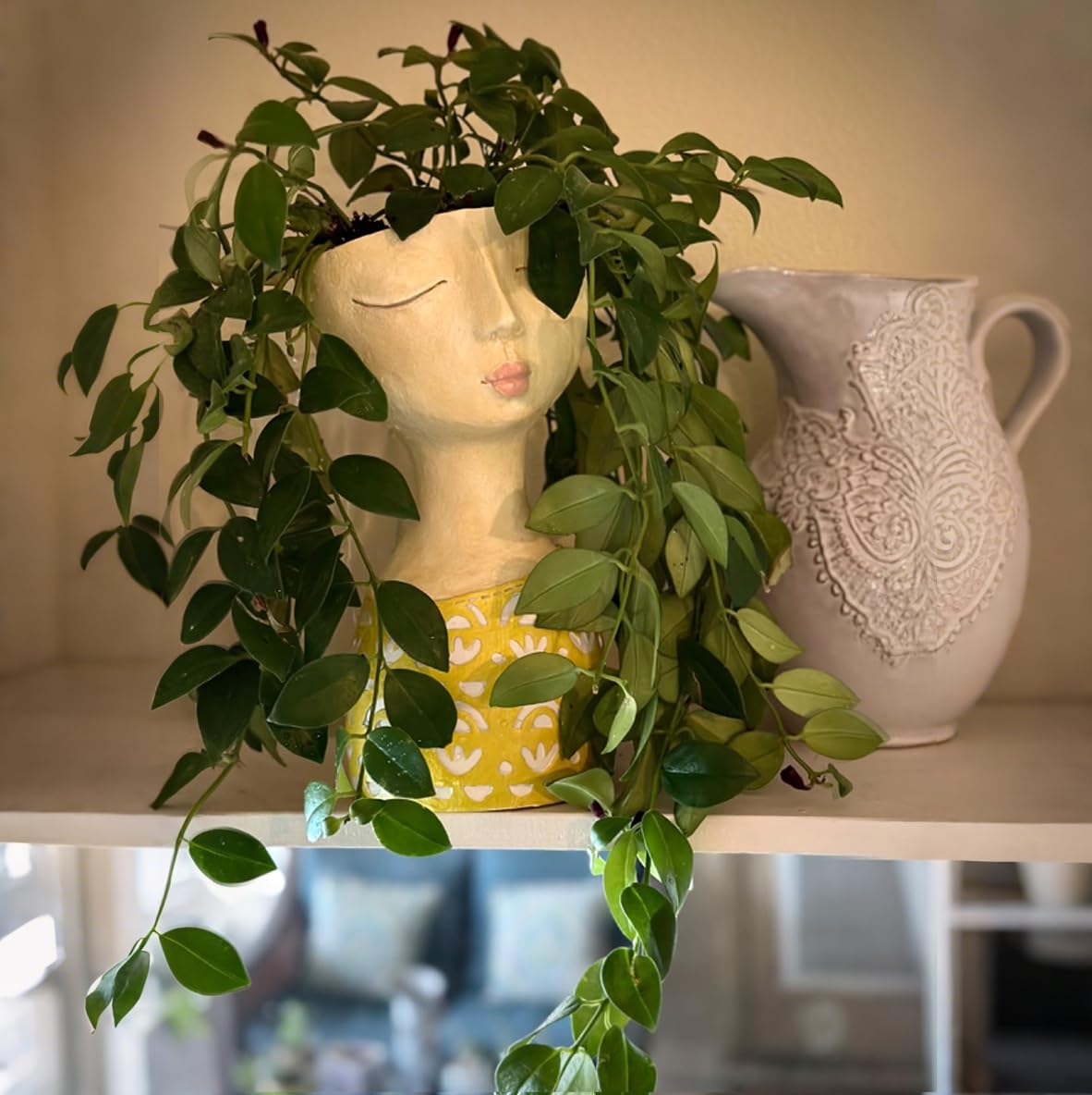 DiliComing face planter 11-inch outdoor patio setup with plants
