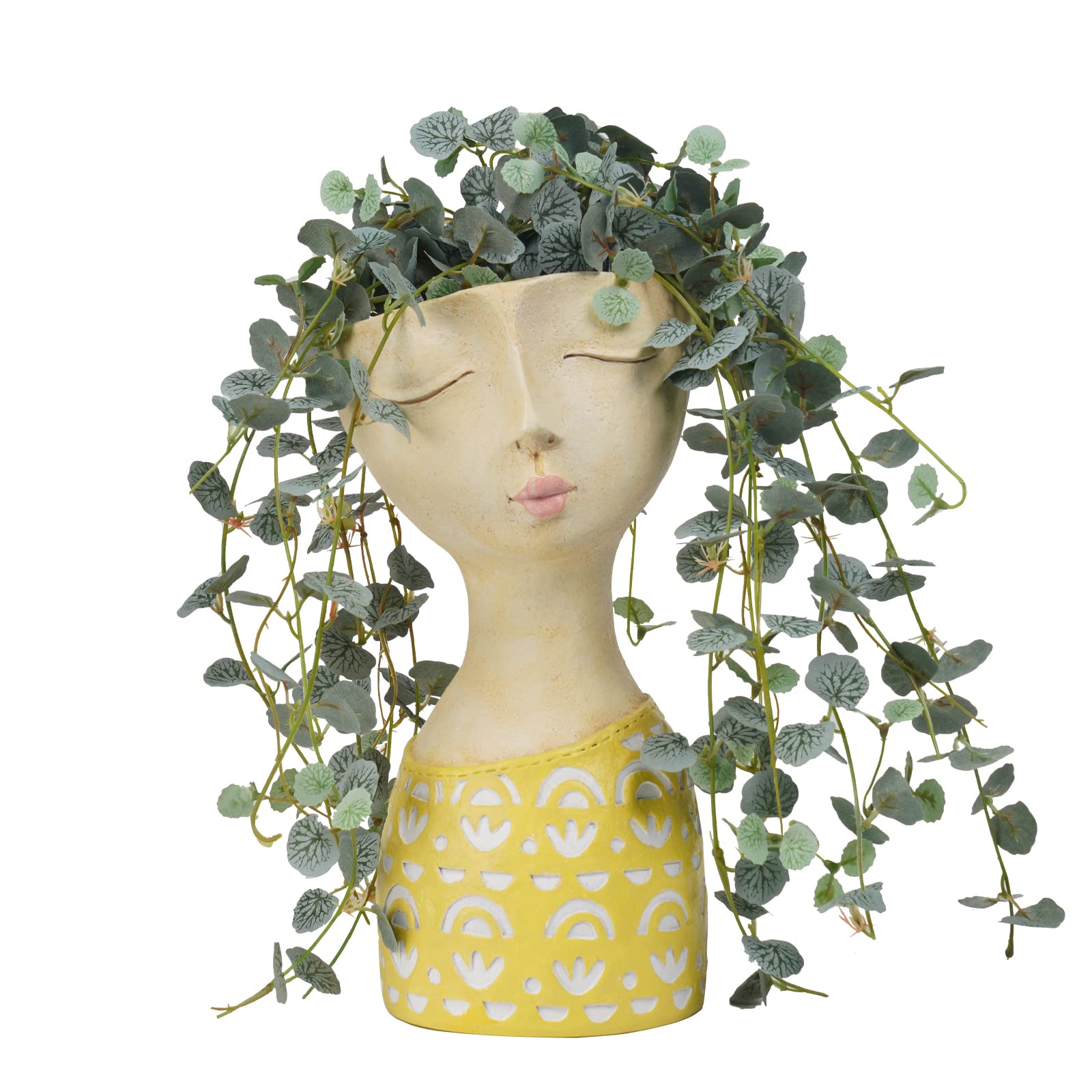 DiliComing face planter 11-inch top view adds character to indoor plants