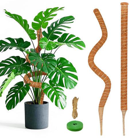Dimpoo 28-inch moss pole supports Monstera with natural grip for aerial roots.