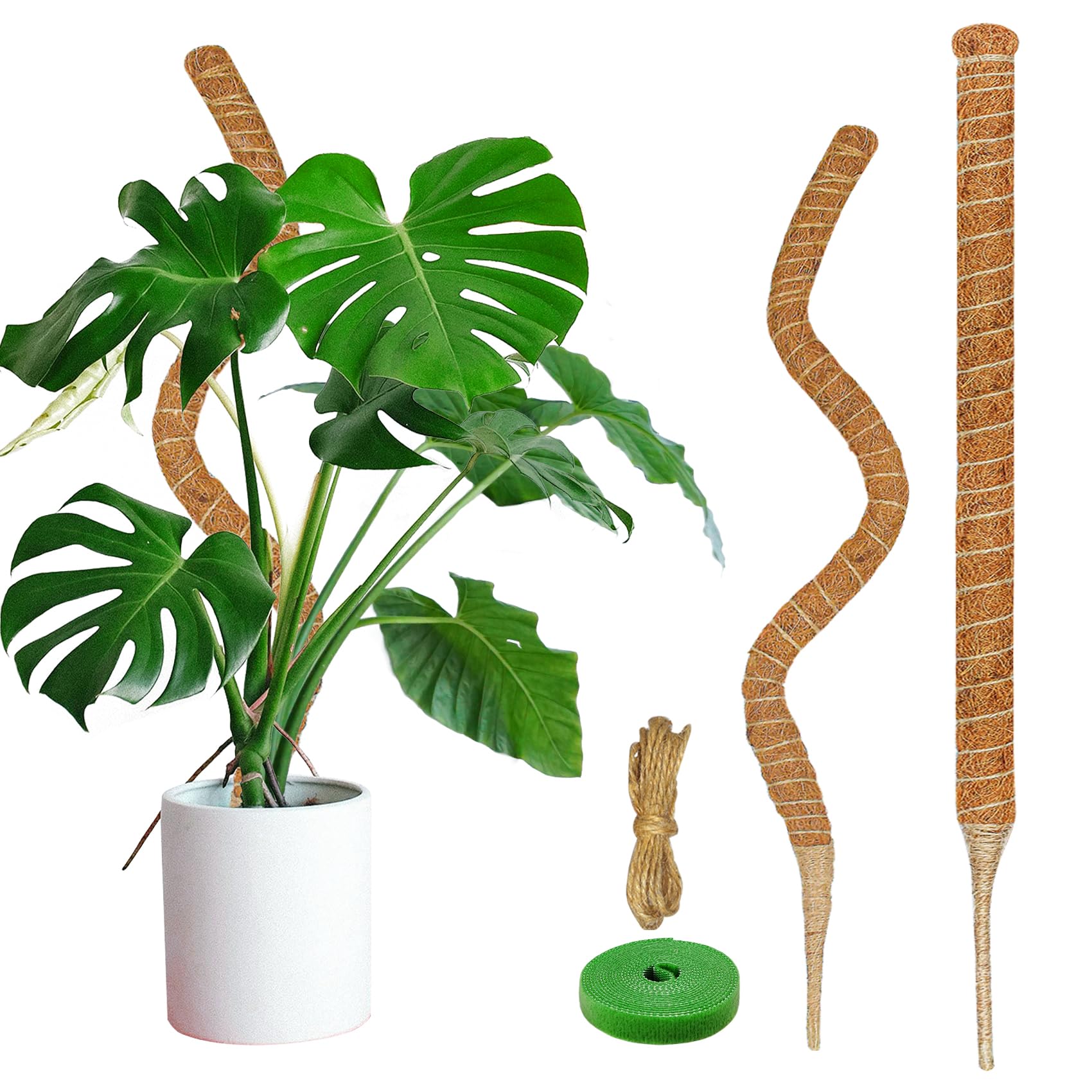 Dimpoo moss pole 26.8-inch pack supports climbing plants indoors.