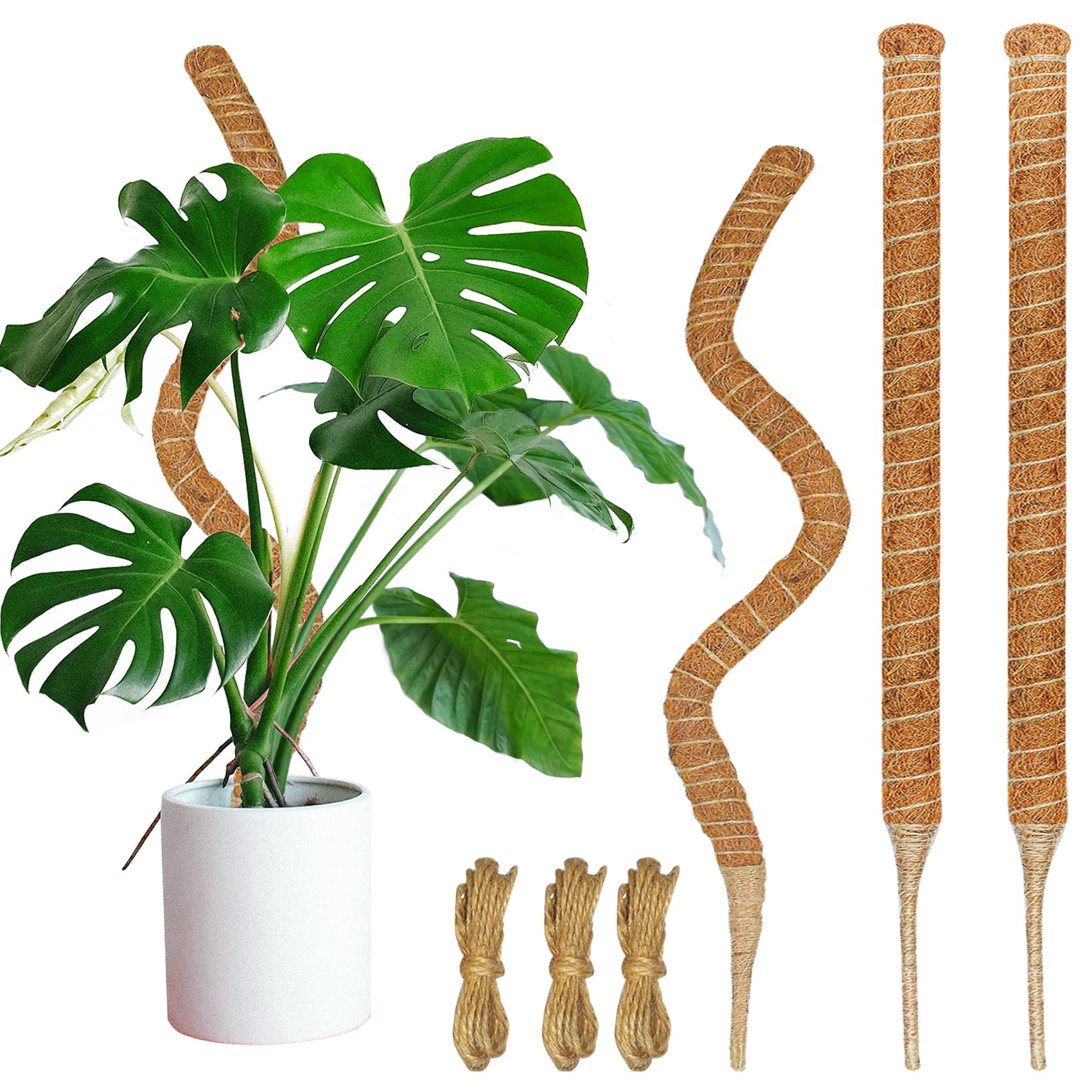 Dimpoo moss pole 26.8-inch with natural coir for supporting climbing plants.