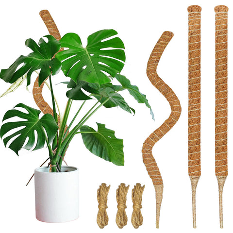 Dimpoo moss pole 26.8-inch with natural coir for supporting climbing plants.