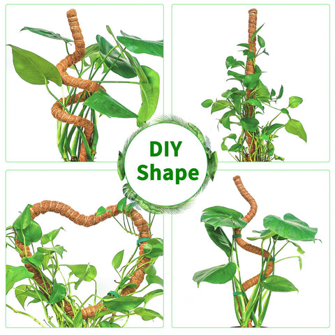 Dimpoo moss pole supporting Monstera and pothos with climbing structure.