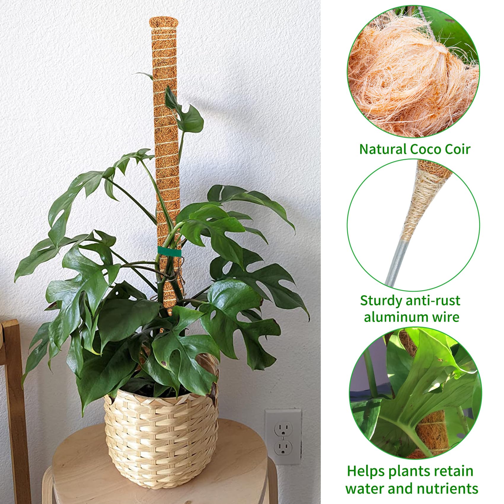 Dimpoo climbing pole stabilizes plants while encouraging upward growth.