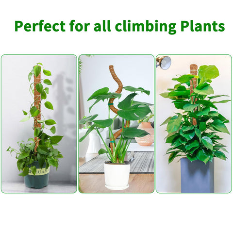 Dimpoo moss pole kit includes rope and tape for secure setup.
