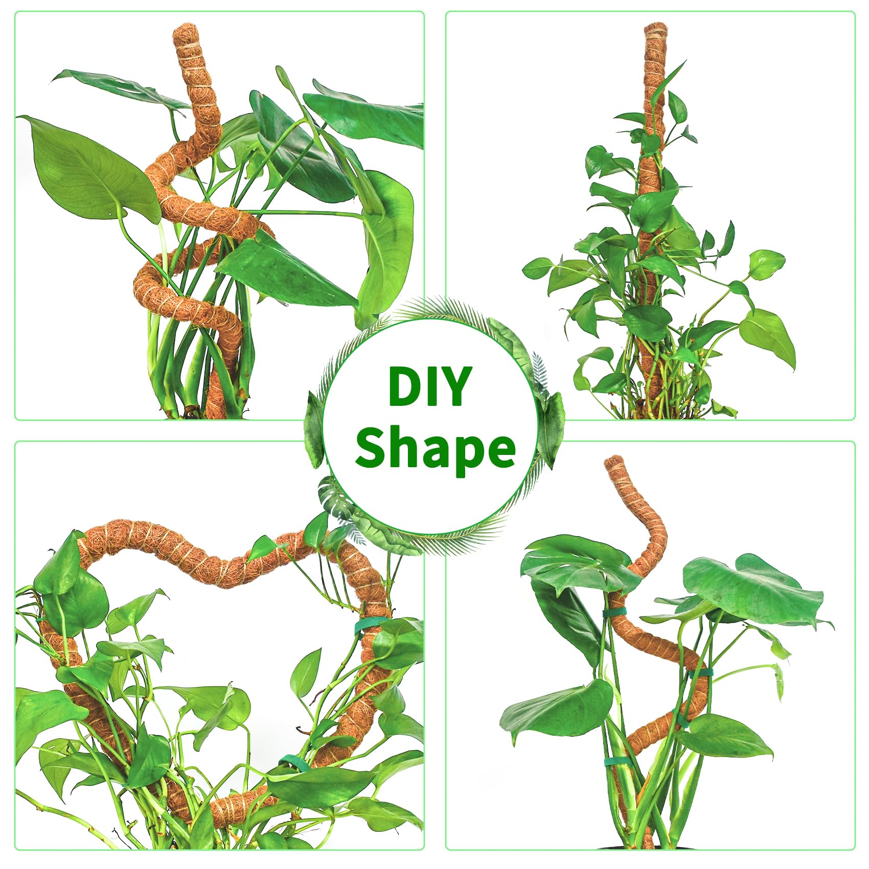 Dimpoo natural coir grip preserves moisture and supports aerial roots.