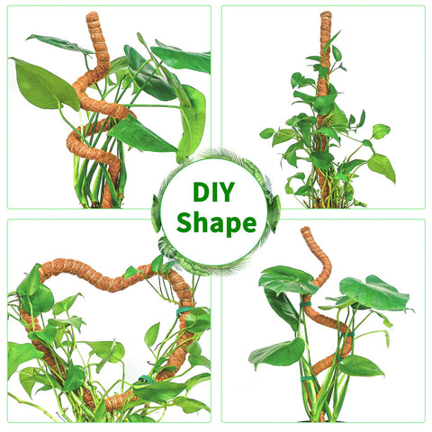 Dimpoo natural coir grip preserves moisture and supports aerial roots.