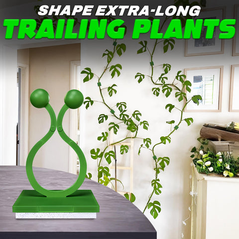 Clips double as cable management or wall garland organizers