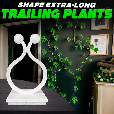 DIMROM clips on indoor walls for neat plant organization