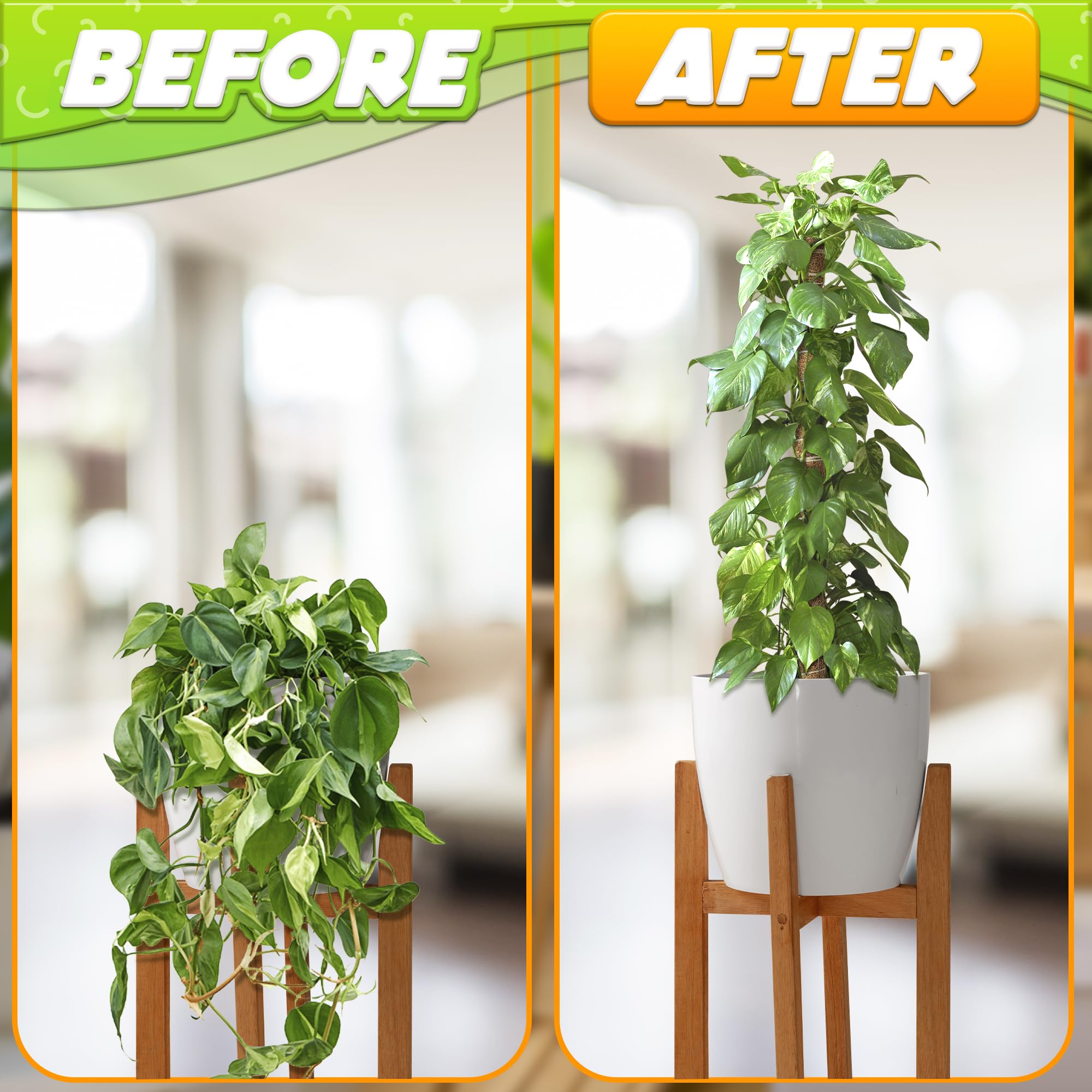 DIMROM fixation strip keeps poles securely in place without damaging stems.