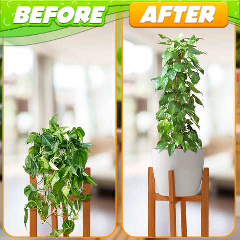 DIMROM fixation strip keeps poles securely in place without damaging stems.
