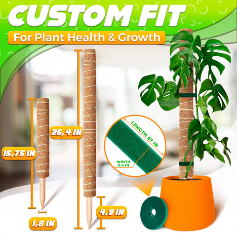 DIMROM connectable moss poles demonstrate extendable support for taller plants.