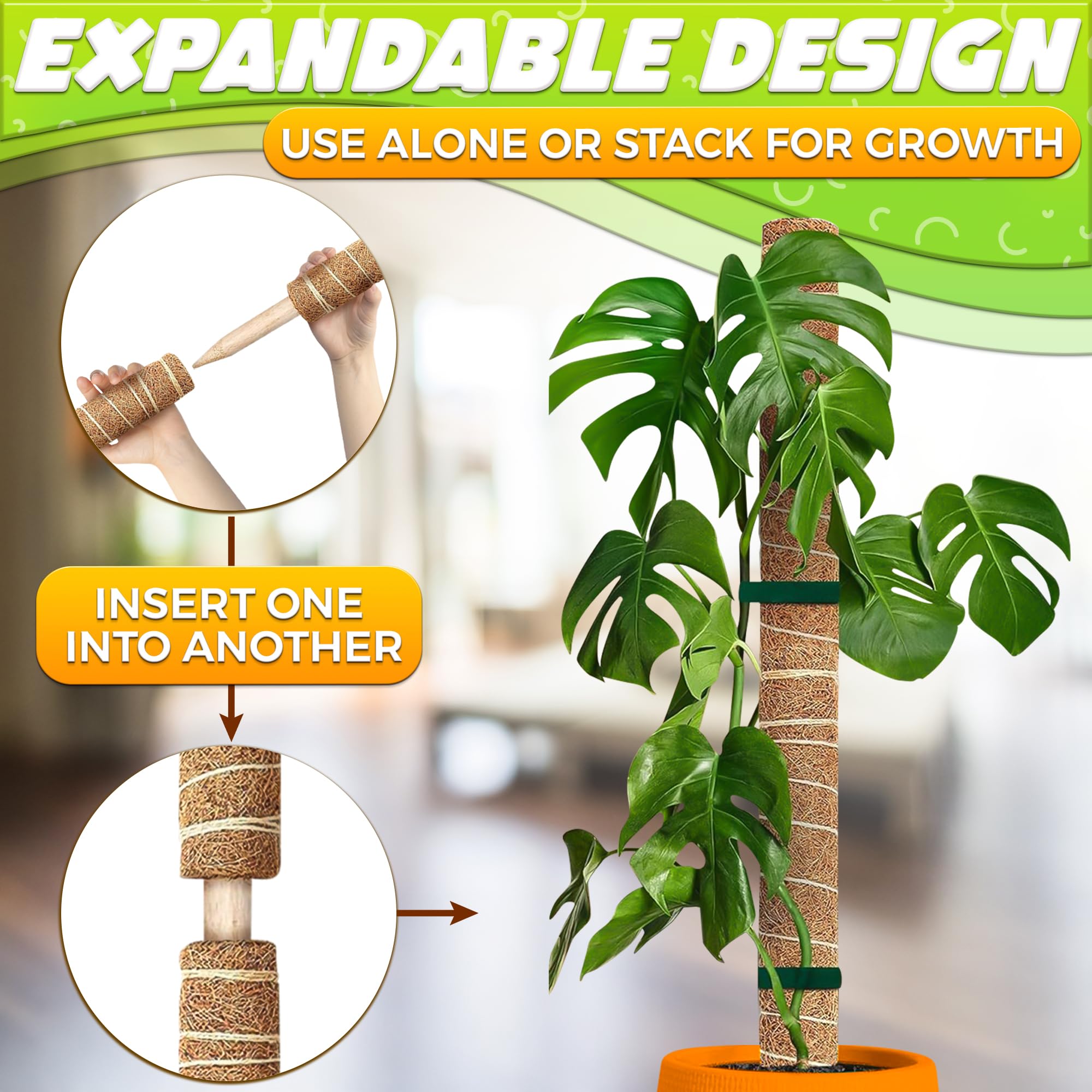 DIMROM versatile moss poles suit pothos, money plants, and philodendrons for vertical growth.