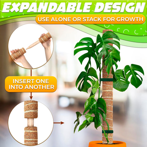 DIMROM versatile moss poles suit pothos, money plants, and philodendrons for vertical growth.
