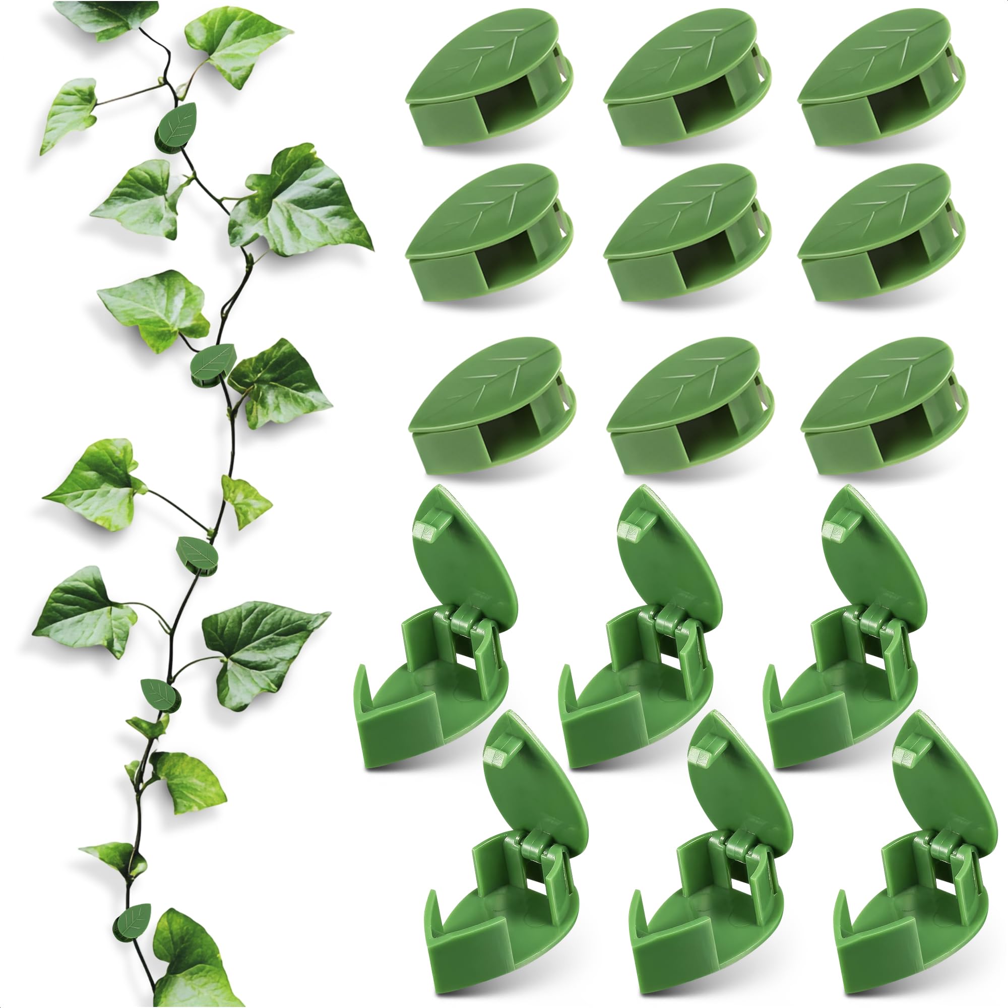 DIMROM leaf-shaped wall clip secures pothos discreetly for tidy greenery.