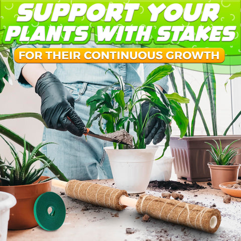 DIMROM stackable design allows building taller supports as plants mature.