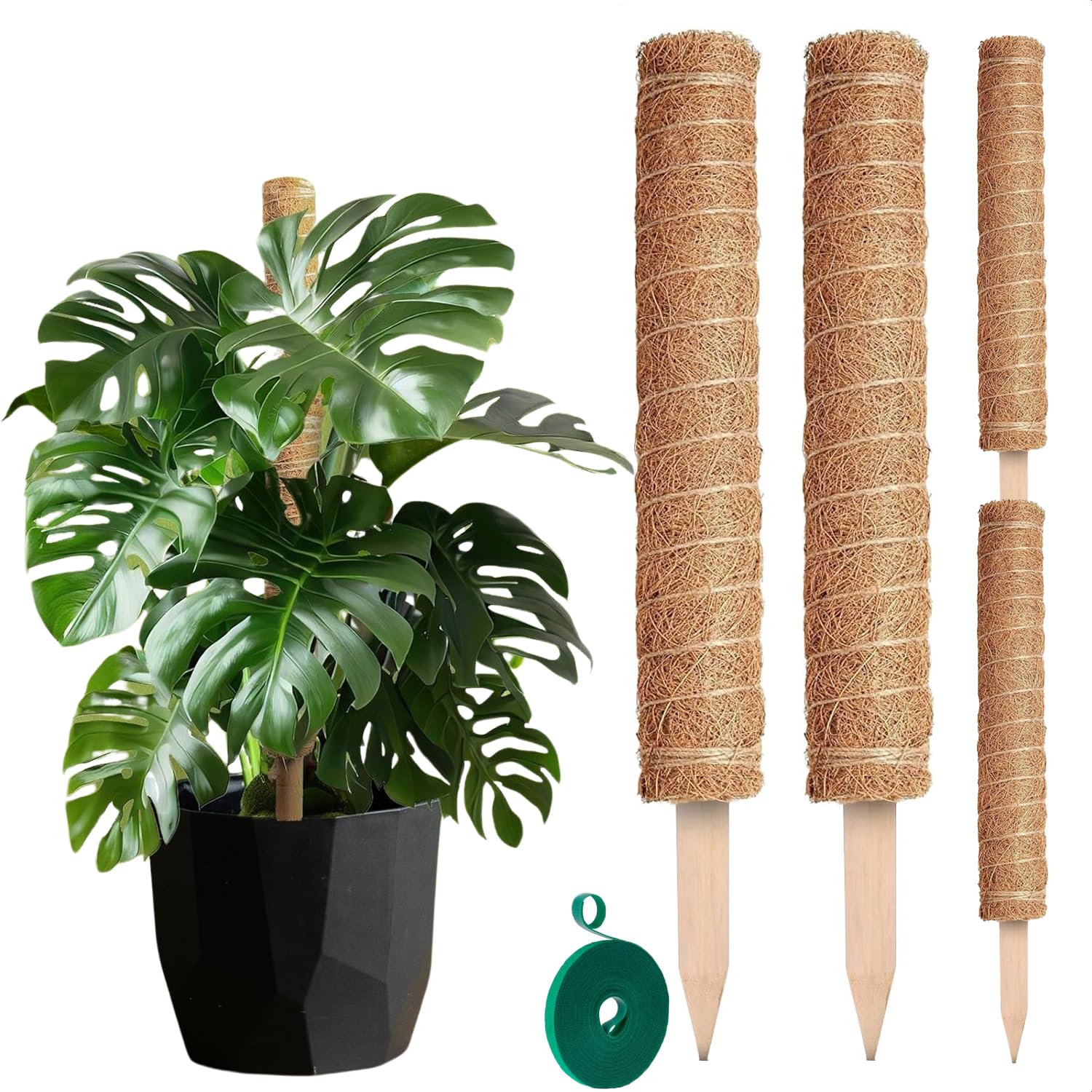DIMROM moss pole 26.4-inch Monstera set supports upward growth for climbing plants.