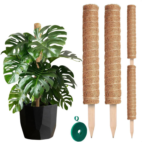 DIMROM moss pole 26.4-inch Monstera set supports upward growth for climbing plants.