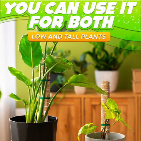 DIMROM natural-looking texture blends with home decor while supporting climbing plants.