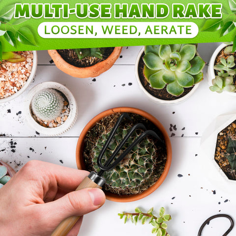 DIMROM succulent and bonsai care tools for precise soil work