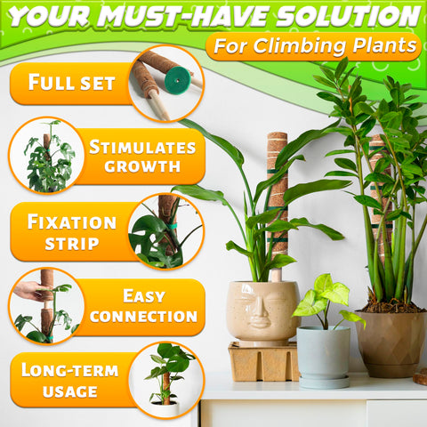 DIMROM wood-core coconut-fiber moss pole retains moisture to aid aerial roots.
