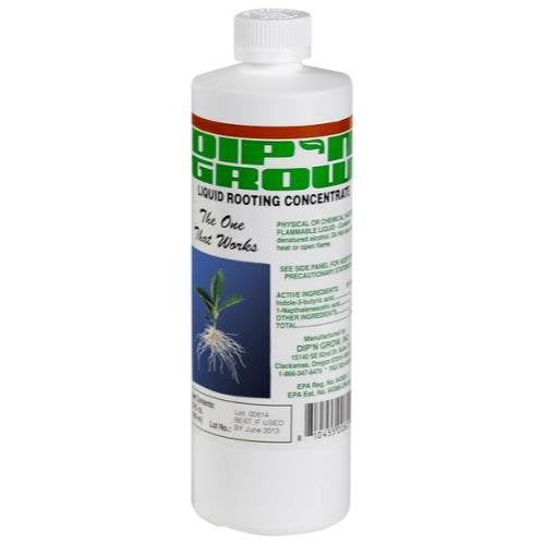 Dip'N Grow DG01601 rooting solution bottle enhances cutting rooting and absorption
