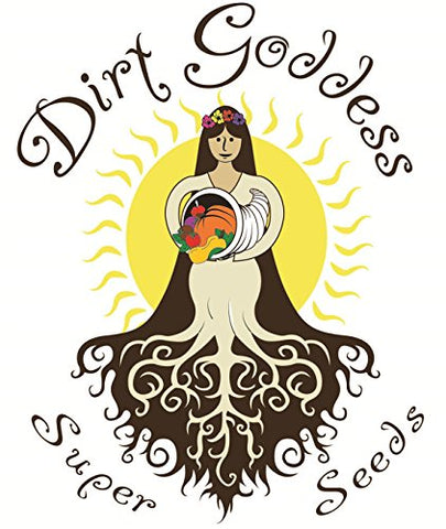 Dirt Goddess Super Seeds cornflower tall mix grown plant with tall stems and color