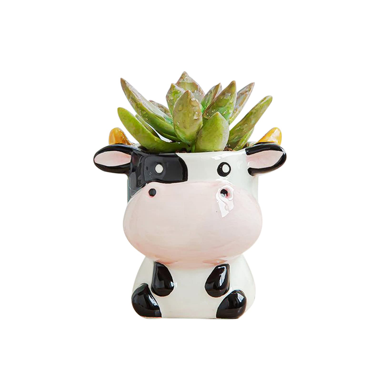 DIYOMR Cow ceramic planter with a cute animal design for small succulents on your desk