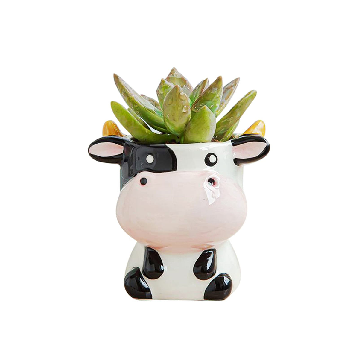 DIYOMR Cow ceramic planter with a cute animal design for small succulents on your desk