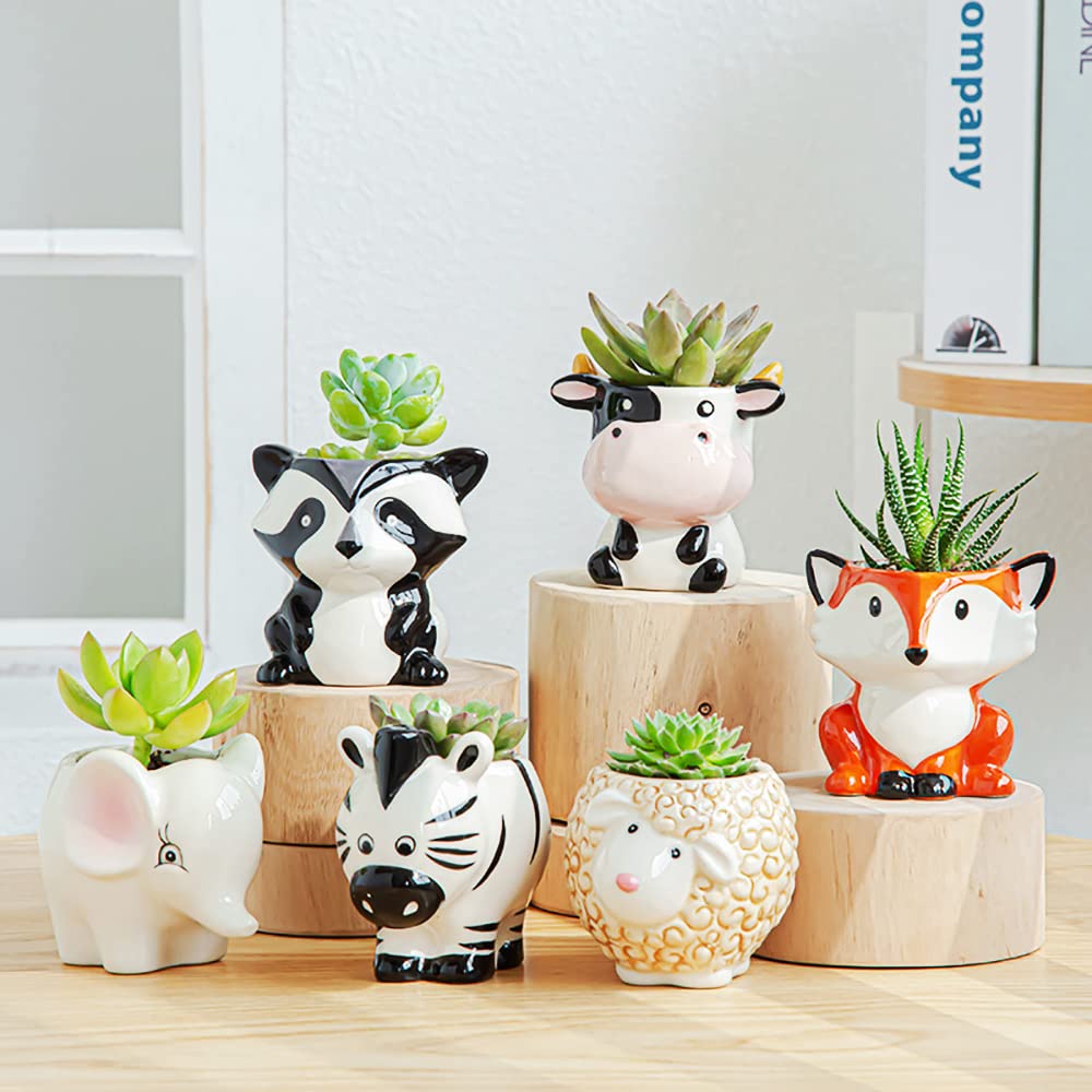 DIYOMR Cow planter with drainage hole supporting healthy indoor watering