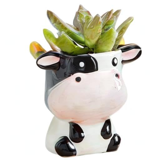 DIYOMR box ships securely to protect the cute cow planter during transit