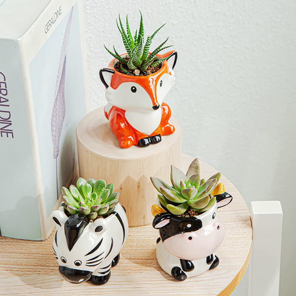 DIYOMR sheep planter packaging box keeps the pot safe during shipping.